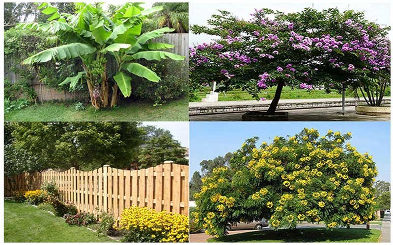 Địa Ốc Thuận Thiên